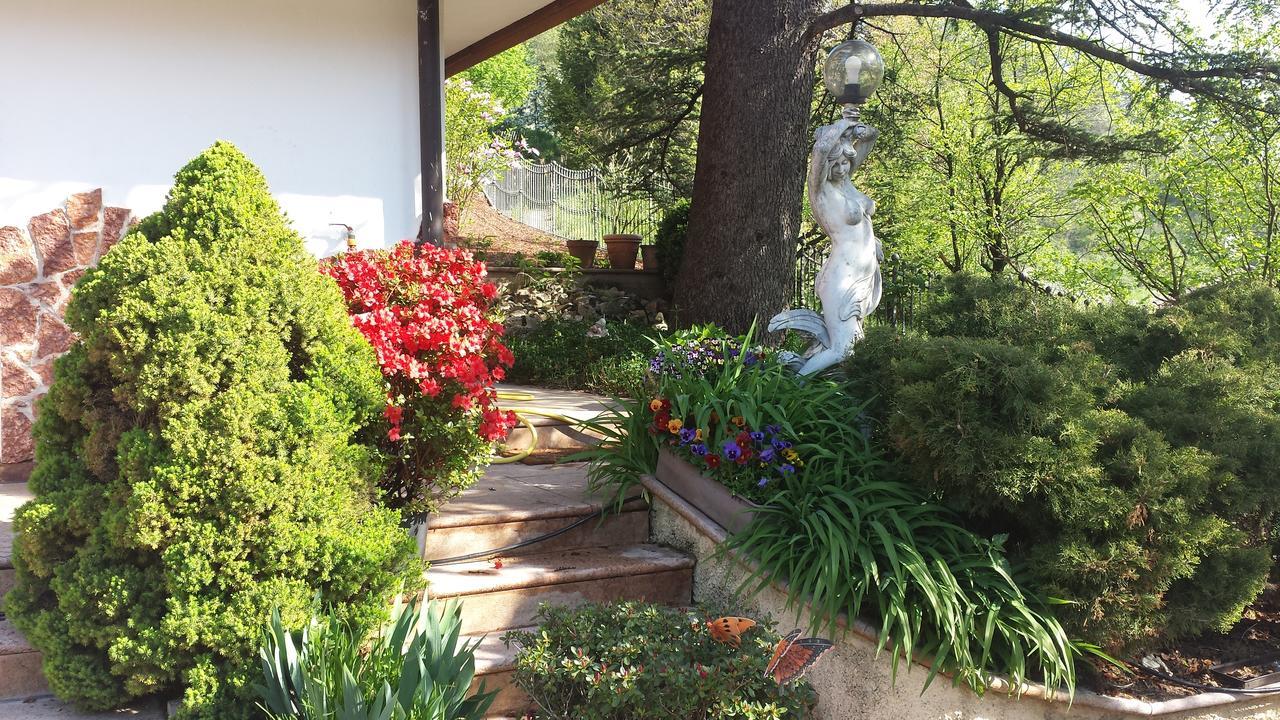 B&B Al Cedro Sporminore Zewnętrze zdjęcie